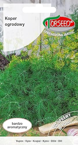 Verdica Aneto aromatico Anethum Graveolens - Ricco di vitamine, perfetto per la raccolta e la conservazione, prospera nei giardini soleggiati, ideale per uso culinario (5 grammi)