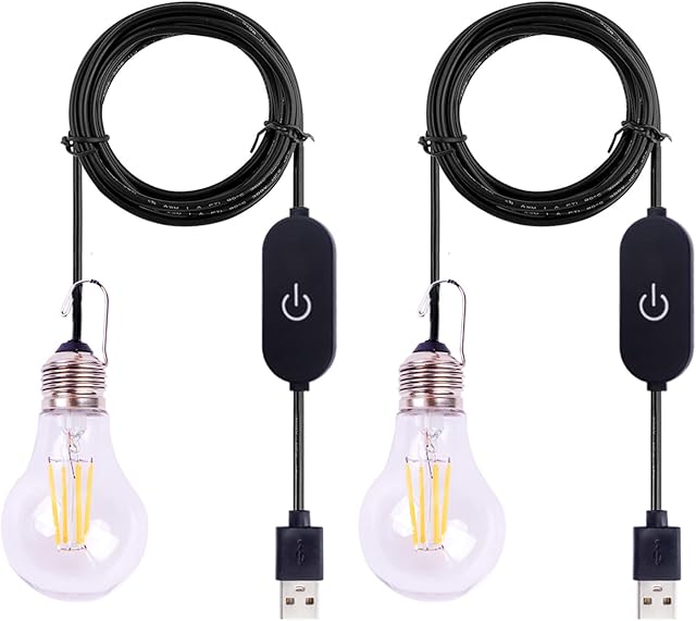 BRIMAX A60 LED Light Bulbs USB Powered Dimmable 3W 270lm Warm White LED Lantern lamp for Fishing Boat Car Truck Camping, Outdoor Portable Bulb, Emergency Light, Children Bed Lamp, Night Light, 2 Pack
