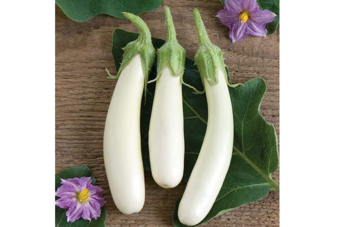 Golden Hills Farm WHITE LONG BRINJAL SEEDS 500 seeds (B07NCBX9SZ) Amazon Price History, Amazon Price Tracker