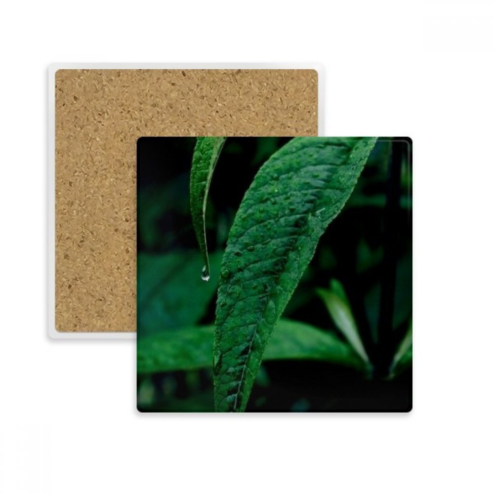 Feuille végétale nature dessous de verre absorbant en pierre pour tasse