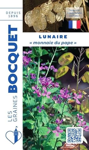 Sachet de graines de Lunaire Monnaie du Pape - 2 g - fleur bisannuelle - LES GRAINES BOCQUET
