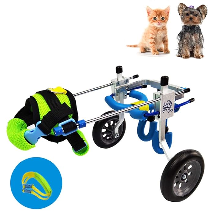 Buy Adjustable Dog Wheelchair for Paralyzed Back Legs, Full Support Cart, Hind Leg