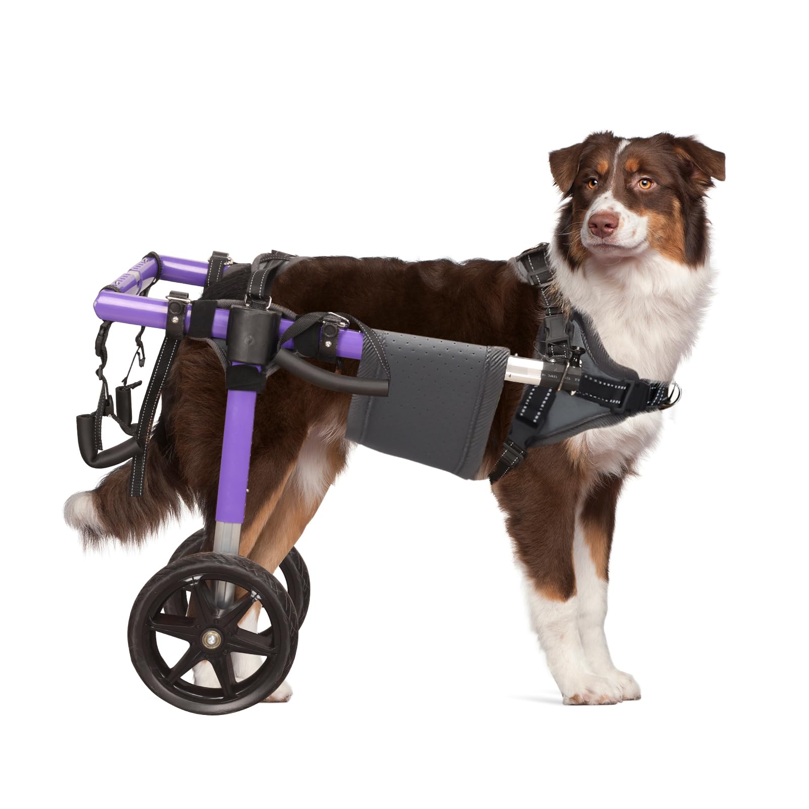 Dog Wheelchair for Back Legs - Lightweight Aluminum Alloy Dog Wheelchair, Upgraded All-Terrain Tires for Med Dogs, 35-48.5 lbs(M)