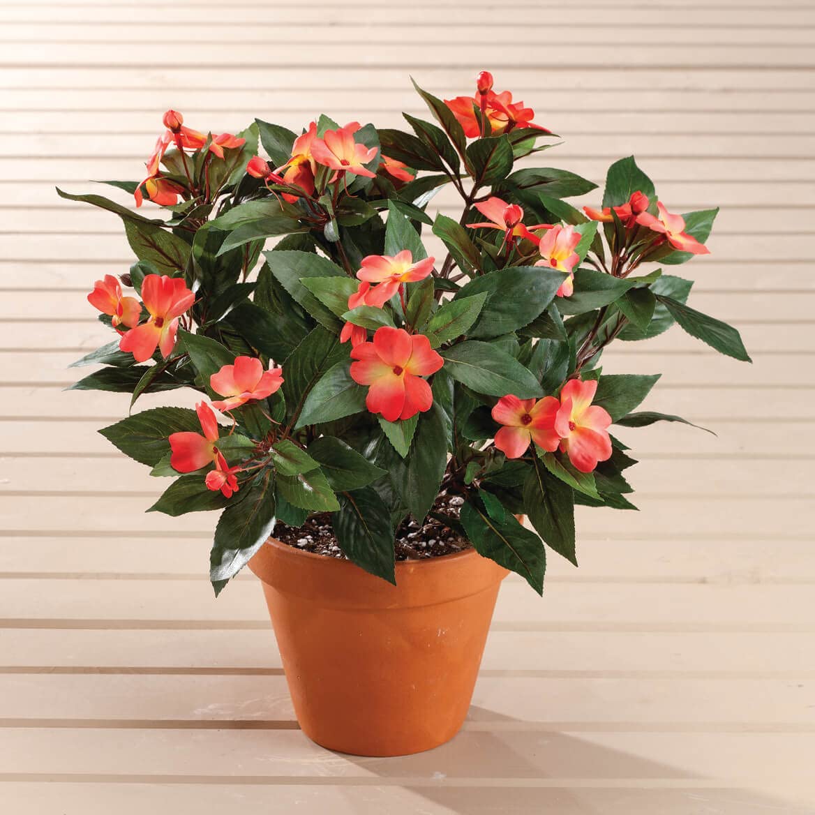 OakRidge Impatiens Bush Orange by OakRidgeTM, Set of 2