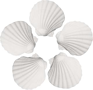 CYANLUX 15 PCS Large Scallop Shells 4-5 inch Natural White Sea Shells from Sea Beach for DIY Craft Beaching Wedding Fish Tank Decor (White)