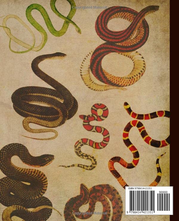 Composition notebook: vintage snakes notebook for school. Gift for reptiles lover. College Ruled. - Image 2
