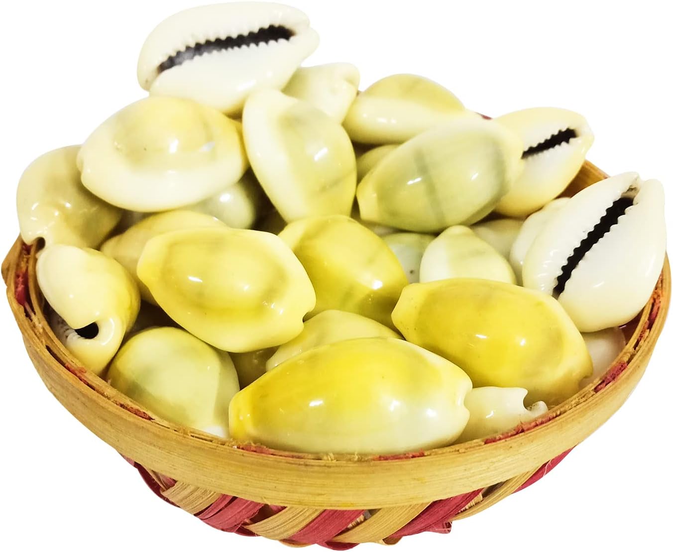 Pooja Ghar Yellow Lakshmi Kaudi | Peeli Kowdi Cowrie Vastu Shastra Remedies for Lakshmi & Diwali Pooja Original Lakshmi Peelim Yellow Kawri Kodi Peeli Cowrie (Pack of 11)