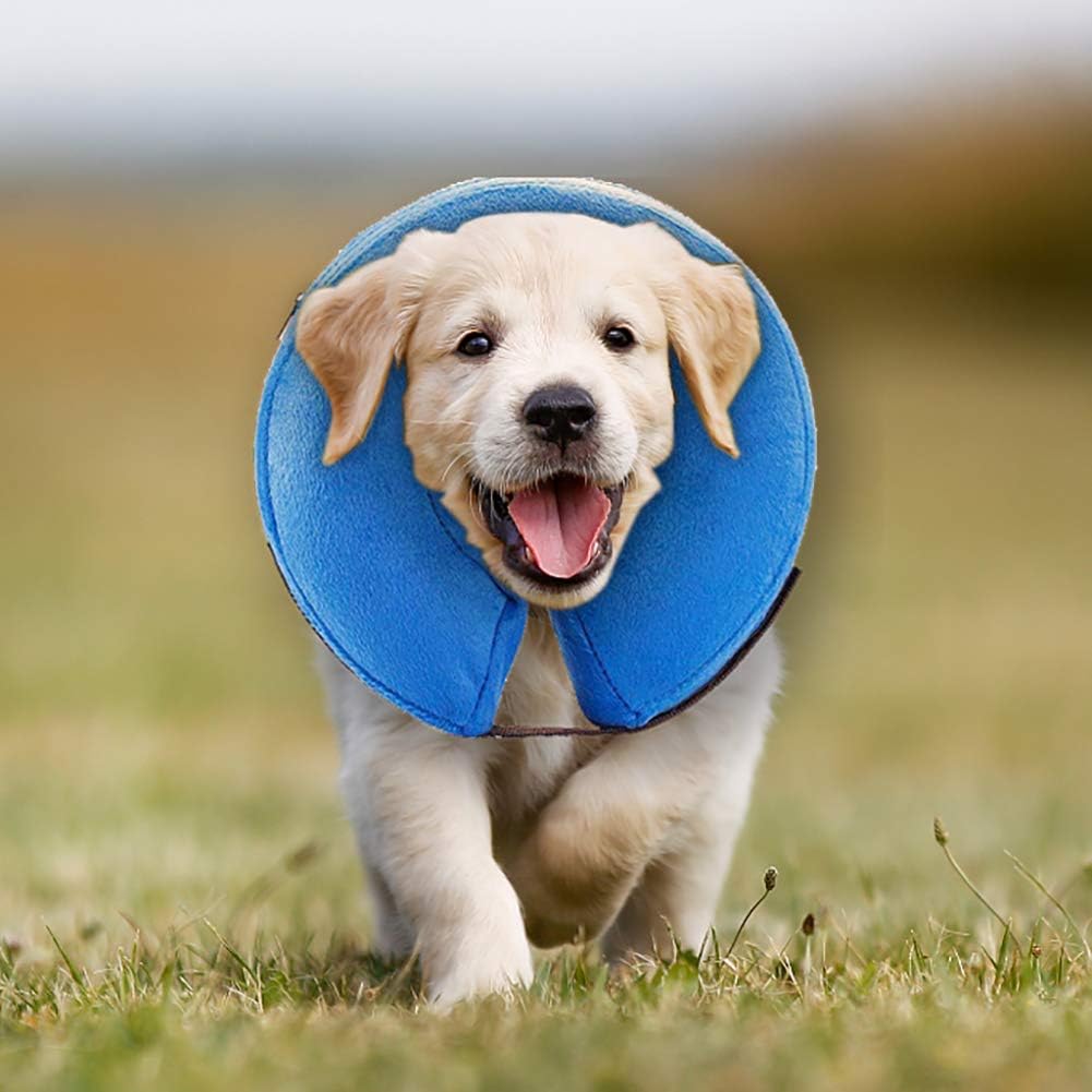 MorTime Protective Inflatable Collar Dogs Cats - Soft Pet Recovery Collar Does Not Block Vision E-Collar (Small)
