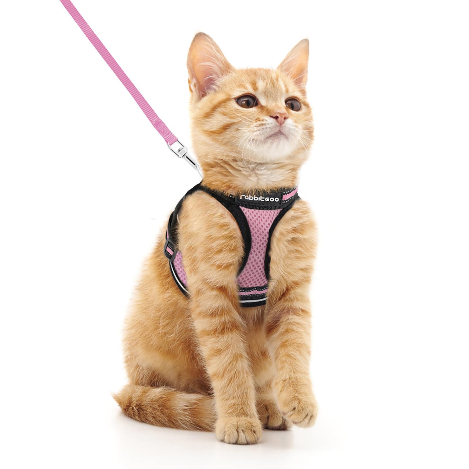 rabbitgoo Cat Harness and Leash Set for Walking Escape Proof, Adjustable Soft Kittens Vest with Reflective Strip for Cats, Comfortable Outdoor Vest, Black, Small — view 45