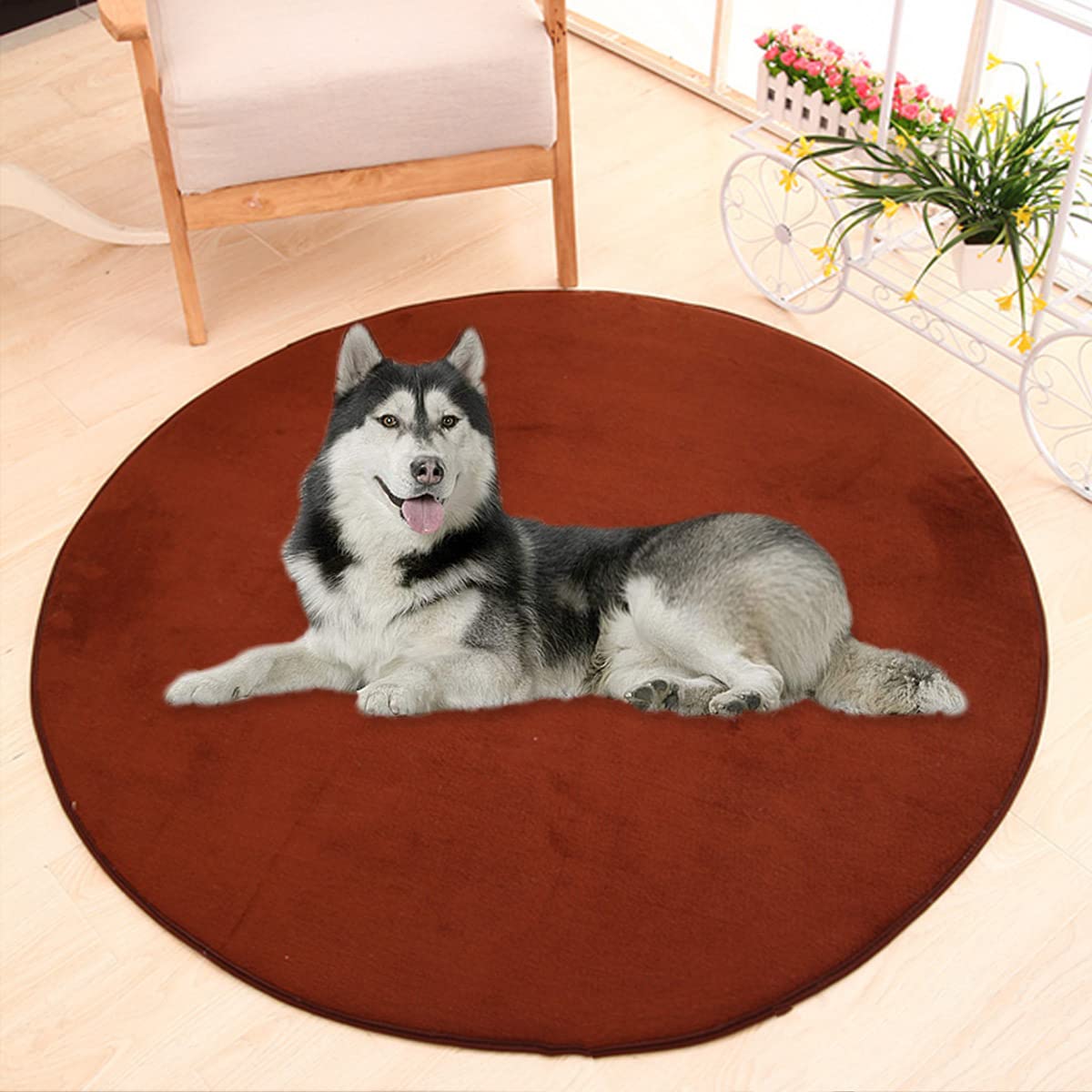 Waigg Kii Large Dog Bed Mat,Coral Velvet Soft Round Carpet Area Rug Pet Mat,Anti-Anxiety Dog Mattress for Small Medium Large Cats Dogs (70CM,Coffee) — image 1