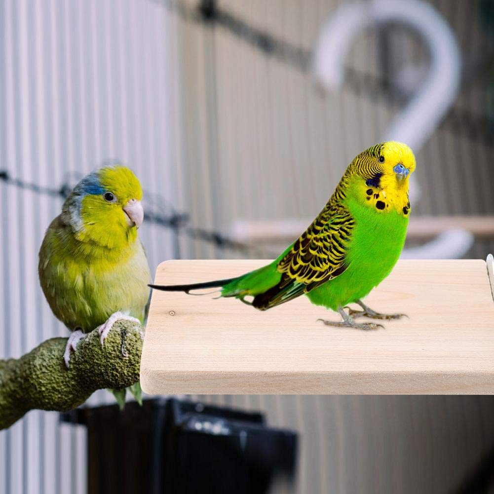 Amazon | 鳥ステージ 止まり木 リラックステージ 餌台 鳥かご コーナー