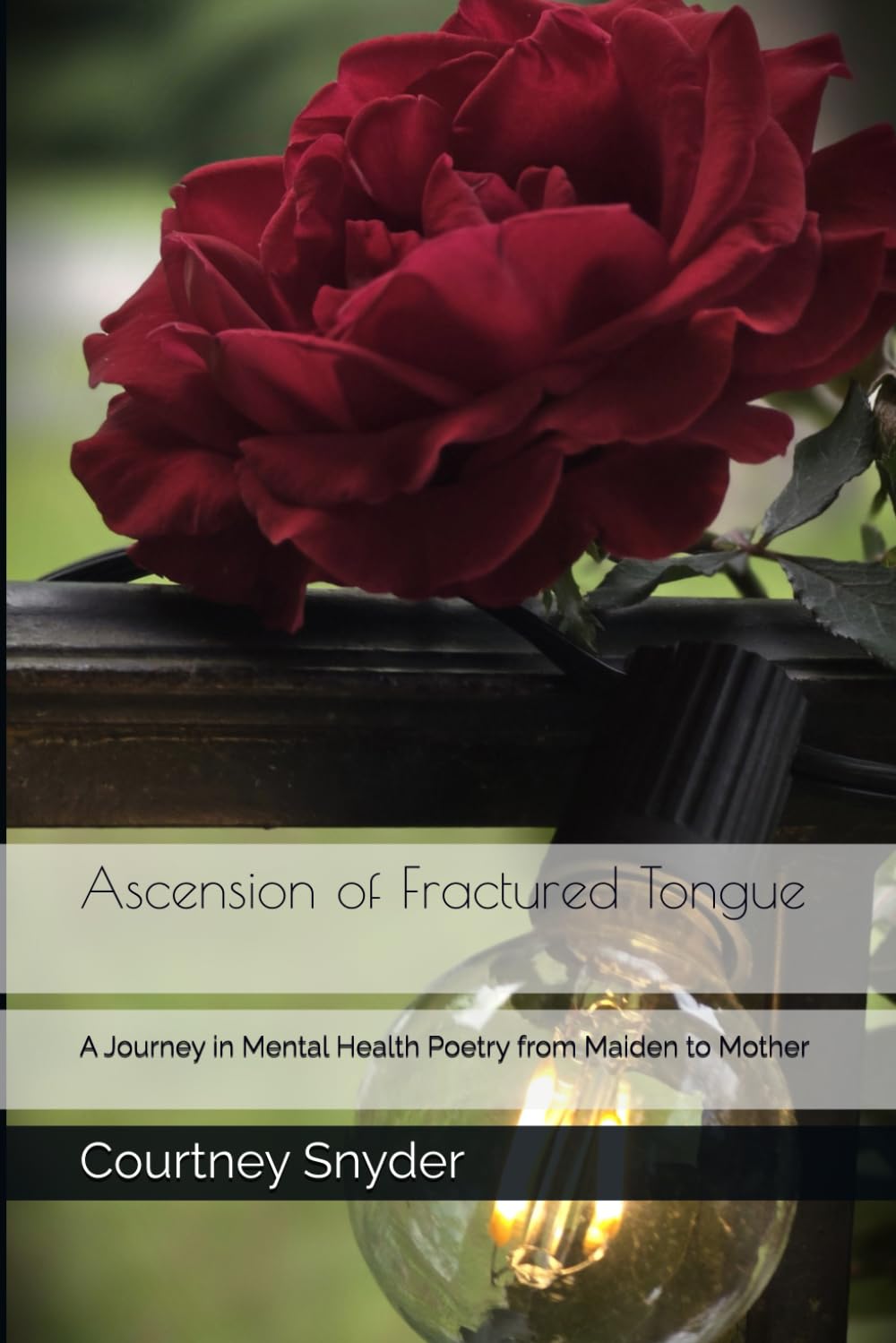 Ascension of Fractured Tongue: A Journey in Mental Health Poetry from Maiden to Mother