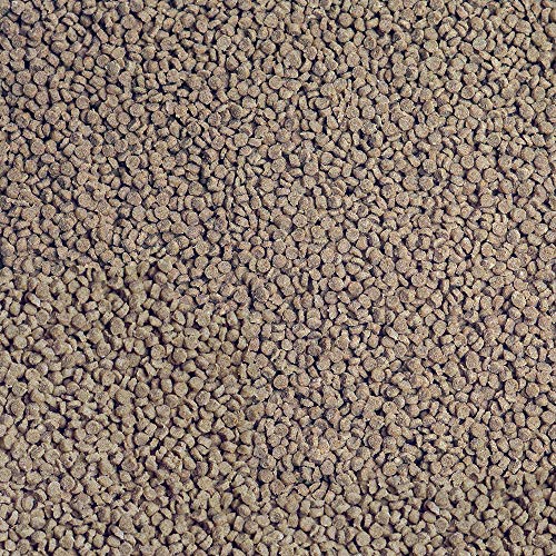 sera Granured Nature 100 ml (55 g) - hoofdvoer voor kleinere carnivore cichliden, voer voor Malawi & Tanganjika - Afbeelding 3