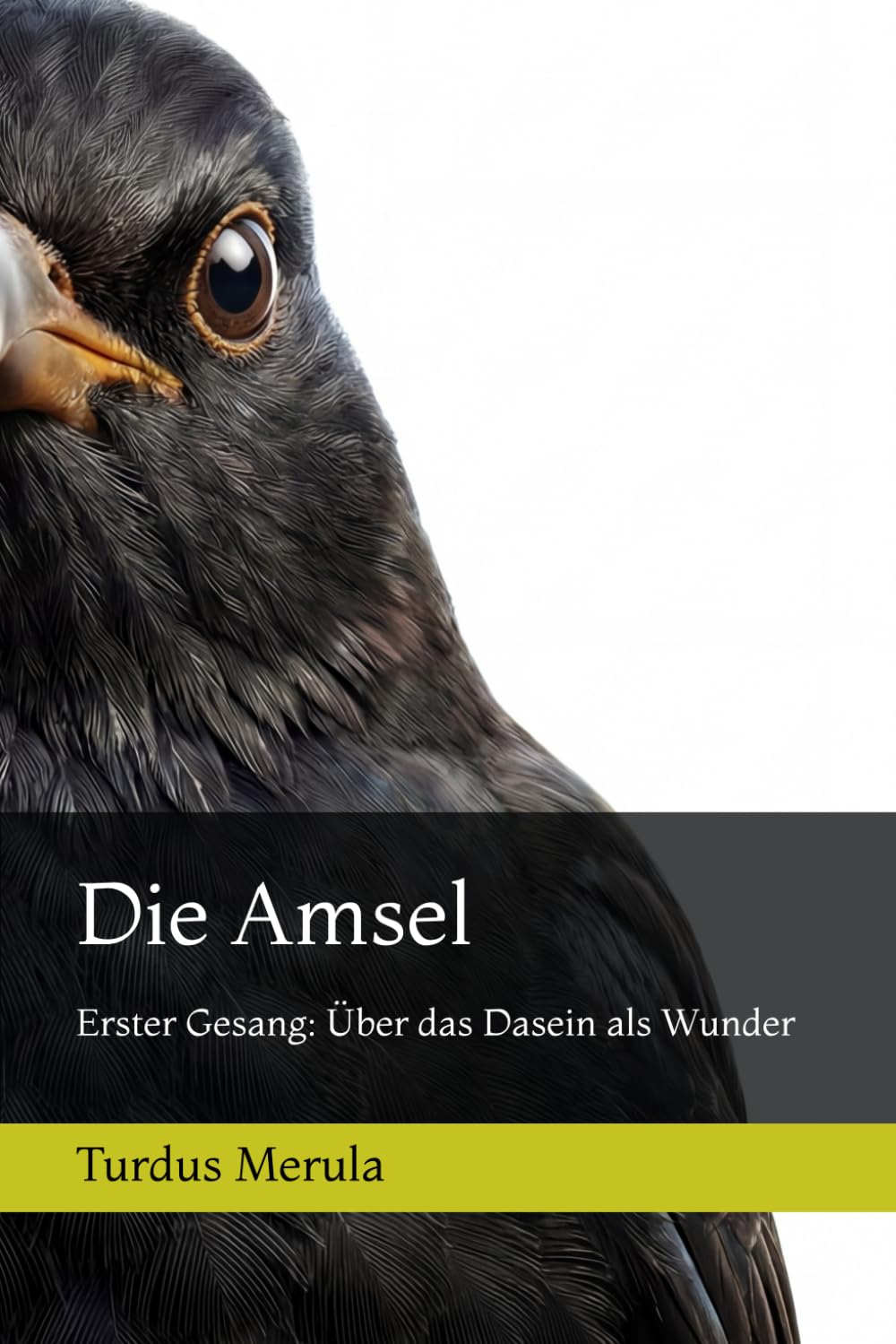 Die Amsel: Erster Gesang: Über das Dasein als Wunder (Gesänge der Amsel)