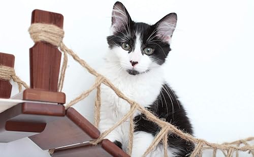 Miniatura 7 de CatastrophiCreations - Árbol de juguete para gatos con tumbonas de tela para mascotas, color natural y gris carbón, talla única (524347148UNNAT)