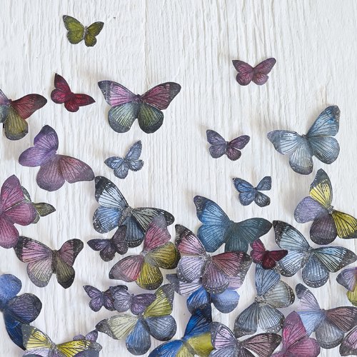 Toile imprimée Howard Shooter Butterfly tableau carré 40x40cm pour décoration murale intérieure