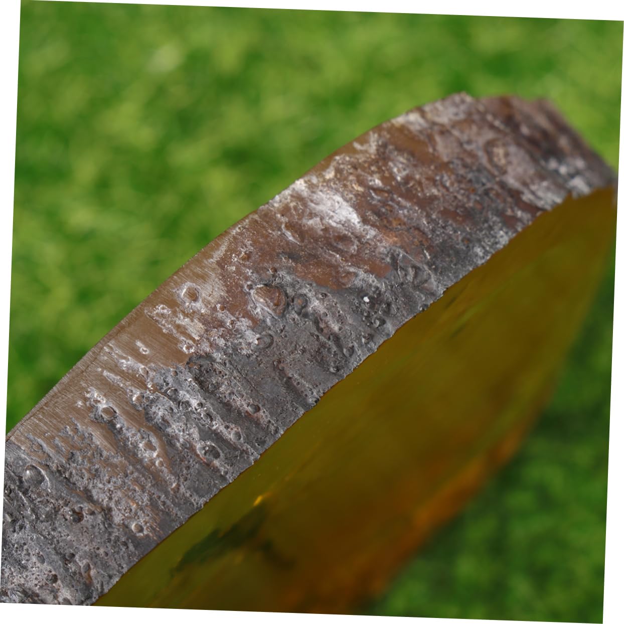 GLEAVI 1 Pc Ciondolo fossile di Pietra di Pendente Esemplare di Ambra di Pietre fossile di di Ornamento in Pietra ambrata nellambra Domestico Accessori Geco Esemplare di Farfalla Campione