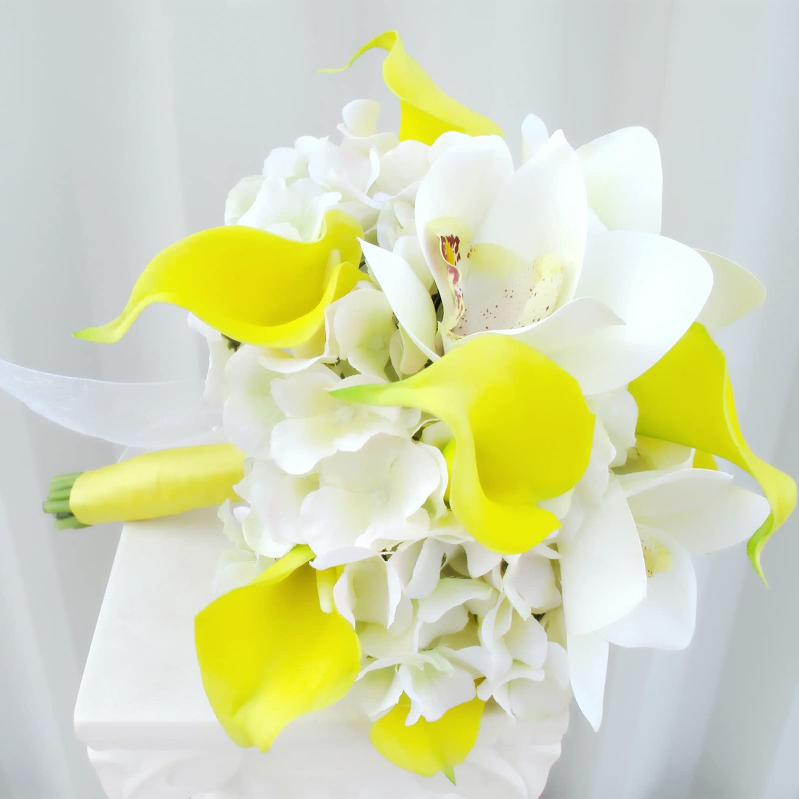 Calla Lily Bulbs.Strong Plants That Grow Well Mix Golden Jade Carving Feels Beautiful-2 Bulbs-C