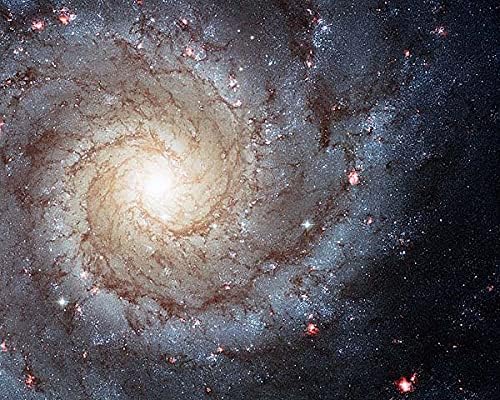 Collectibles Art PINWHEEL GALAXY HUBBLE SPACE TELESCOPE 8x10 SILVER 