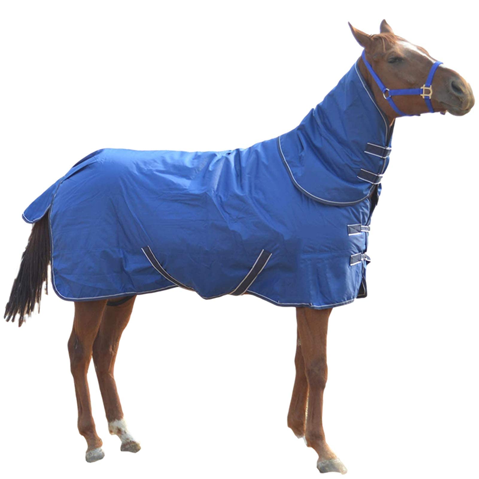 Couverture pour cheval imperméable 165cm avec couvre-cou amovible et rembourrage épais grand confort