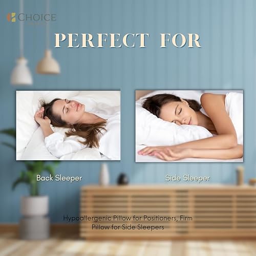 Miniatura 3 de Choice Hotels ECOENDURE - Almohada fabricada en Estados Unidos de 20 x 26 pulgadas (juego de 2) utilizada en calidad, Sleep, Comfort Inn (2, 20 x 26)