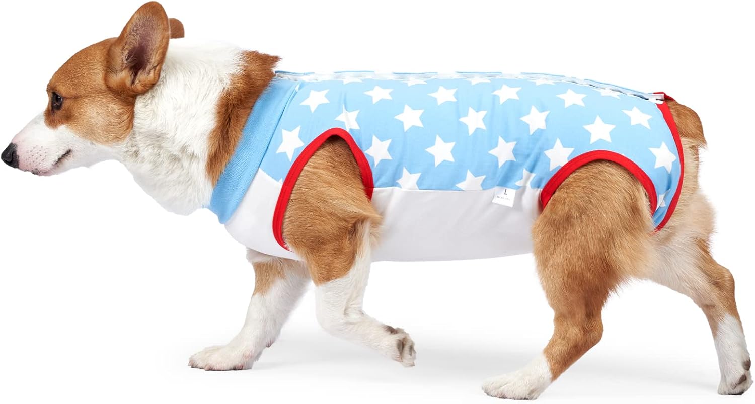 HEYWEAN Dog Recovery Suit Spay Suit for Female Dog Bodysuit After