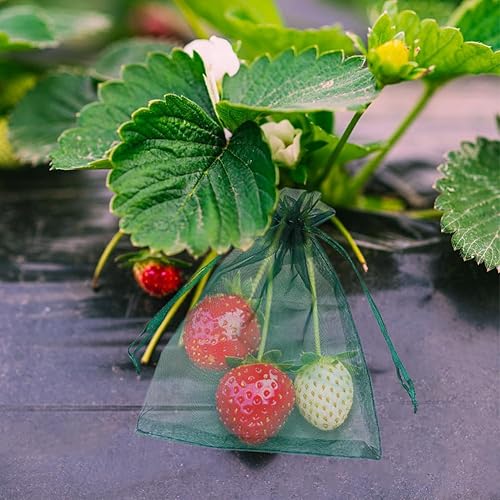 Miniatura 26 de HRX Package 100 bolsas de organza con cordón verde oliva, 4 x 6 pulgadas, bolsas de regalo de malla de caramelo, bolsas de joyería, bolsitas