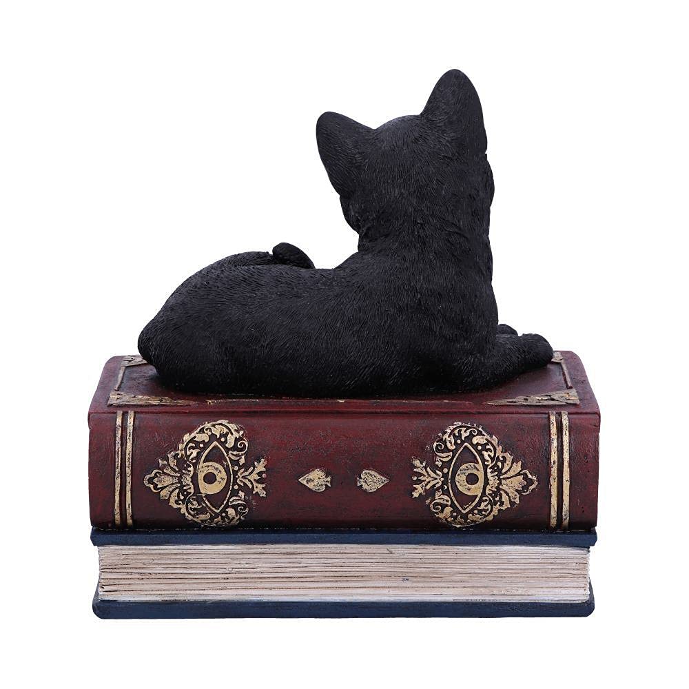 Nemesis Now Salems czarownice znane czarny kot i pudełko z księgą zaklęć, 11,7 cm