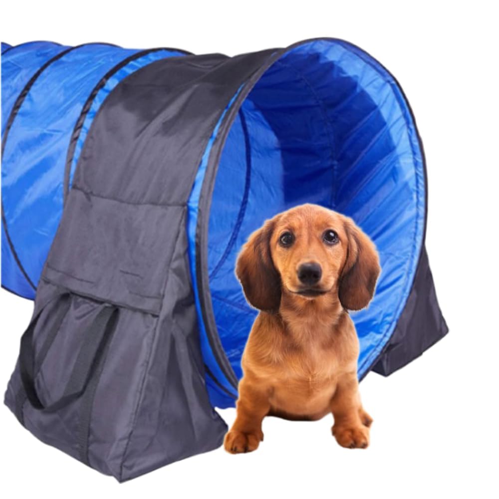 Japard 2 Pack Dog Agility Equipment, Tunnel Sandbags, Hold One End, Holding Bags Only, Training Tool, Outdoor Indoor