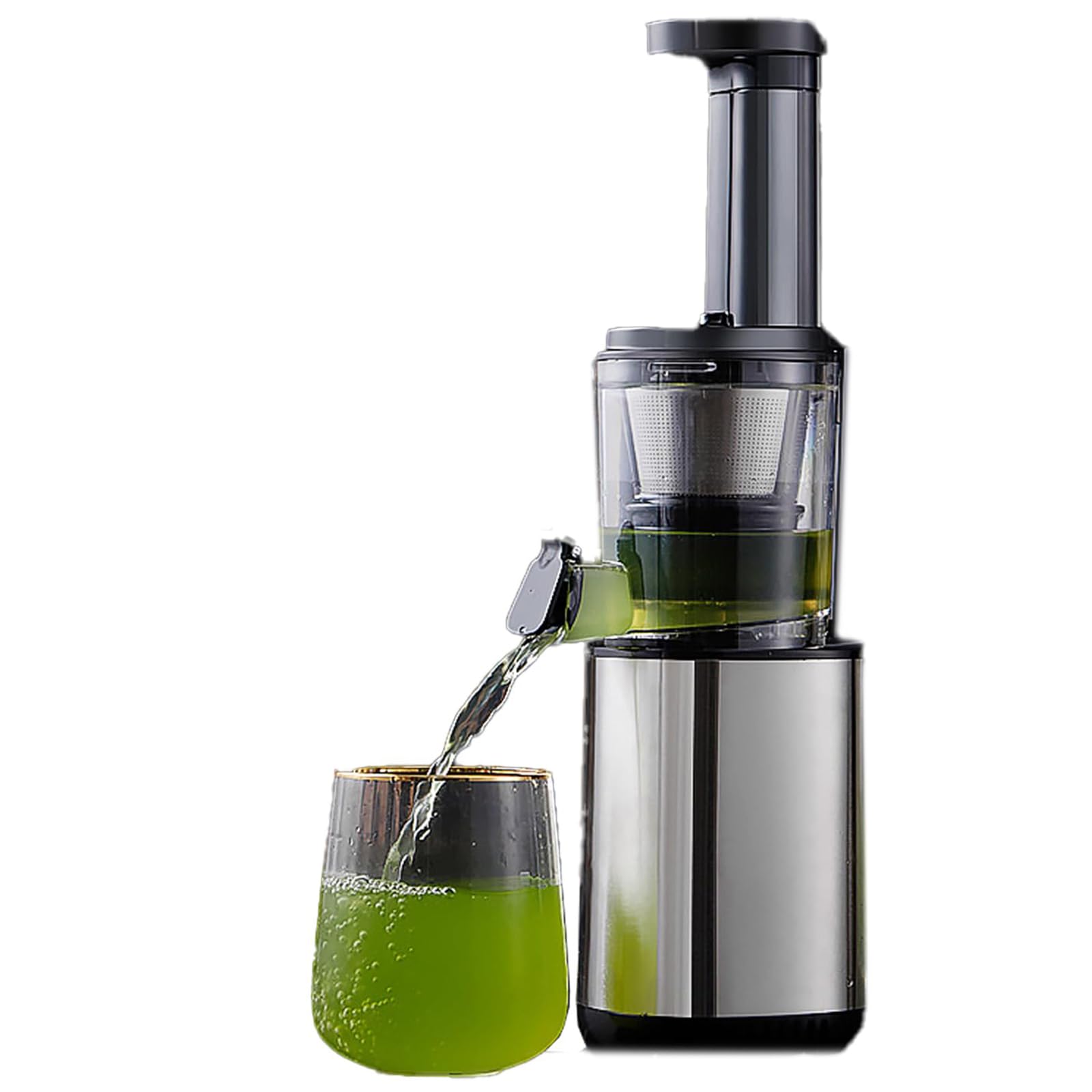 Presse-agrumes à mastication lente de 80 W avec tasse de 500 ml pour fruits entiers