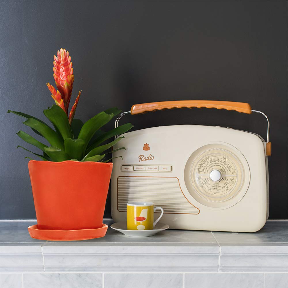 Chive Pots de Fleurs en céramique « Tika » – Jolis Pots pour Fleurs et Plantes d'intérieur et d'extérieur – Grand (12,7 cm) – Orange