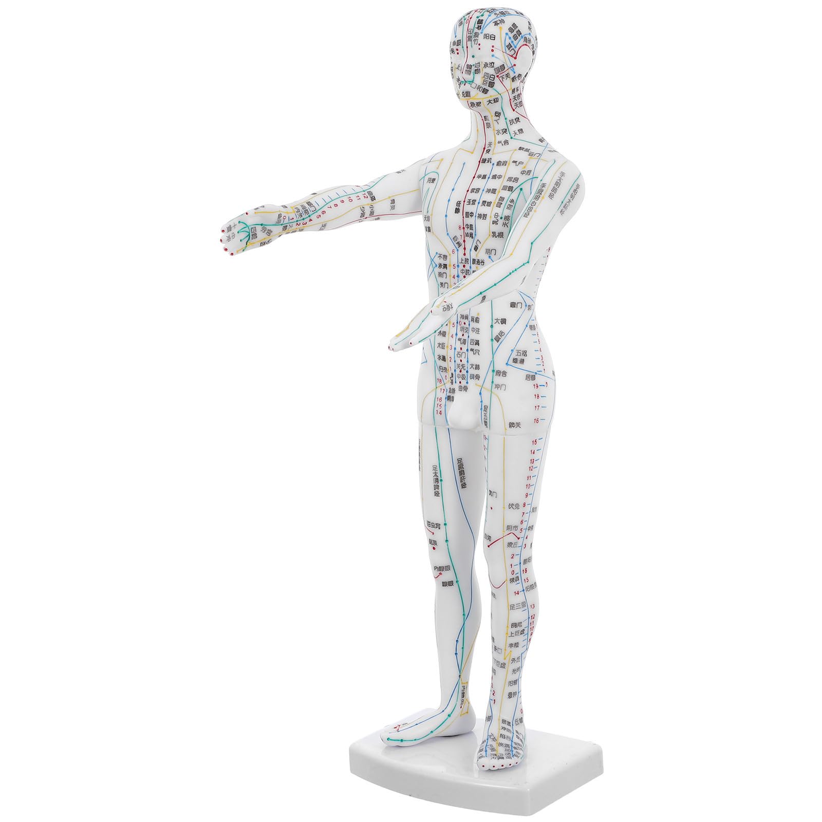 Plástico Modelo Blanco de Acupuntura Corporal Masculino para Enseñanza