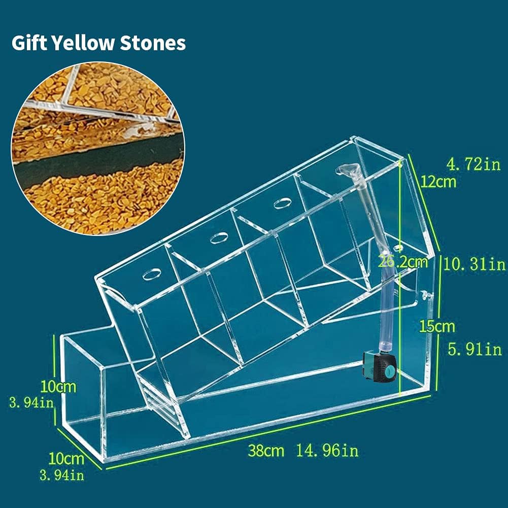 Basta di Pesce Betta con Pompa dell'Acqua, Acquario A Gradini Acrilici, Bosco di Pesce Oro Desktop Trasparente, Moderno Serbatoio di Pesce Betta con Foro di Alimentazione Rimovibile
