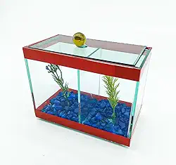 Aquário Beteira Dupla Decorado 17x9x13 1,9L 2 Peixes Betas (Vermelho)