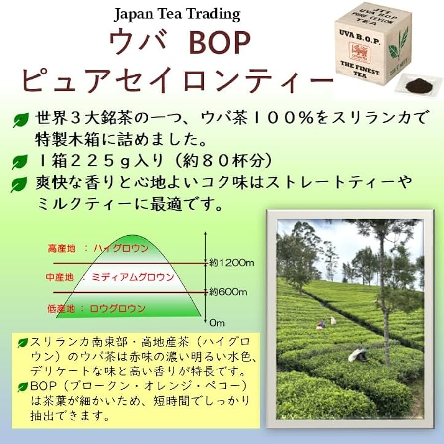 Amazon | ジャパン・ティー・トレーディング ウバ BOP ピュア