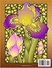 Spring Flowers to Colour In (Colouring Books of Flowers) #1
