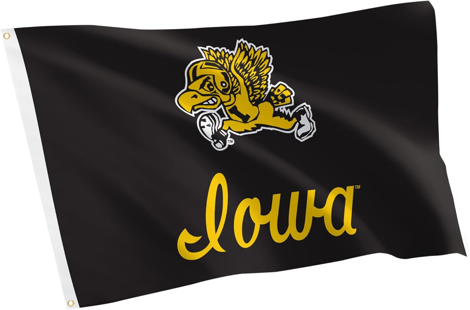 Desert Cactus University of Iowa UI Flag - 3 x 5 Feet Hawkeyes Banner, Indoor/Outdoor Durable Fabric, 100% Polyester Design (Style I Vintage)