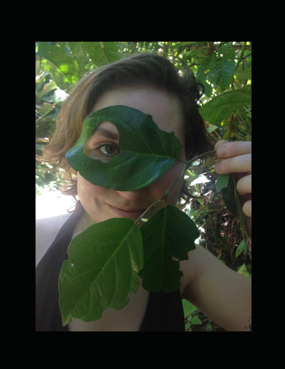 Botany: Laboratory Manual for online courses and independent study