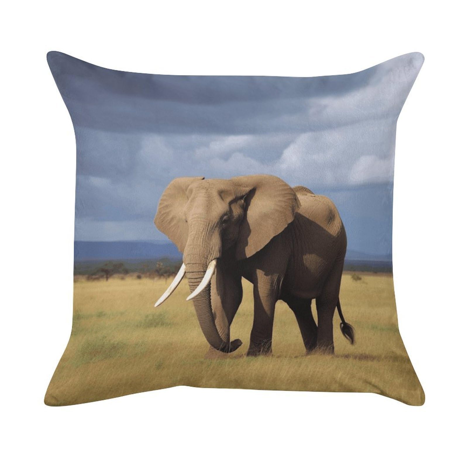 FekiLoot Africa Grassland Elephant Pillowcase Velvet Throw Pillow Cover Ultra Soft Lumbar Pillow Shells Square Cushion Cases with Zipper Luxury Cozy Pillows Shams for All Seasons