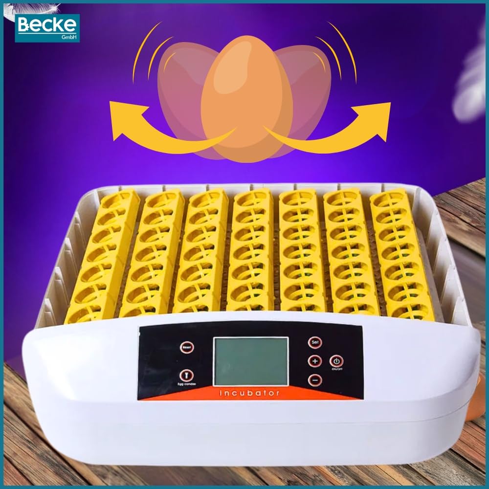 ZOLTA Automatischer Inkubator für 56 Eier LED Ei Tester Temperatur Feuchtigkeitsregler Alarm Hühner Gänse Wachteln Enten Drehfunktion Brutmaschine Brüter Brutkasten mit Display und Zubehör
