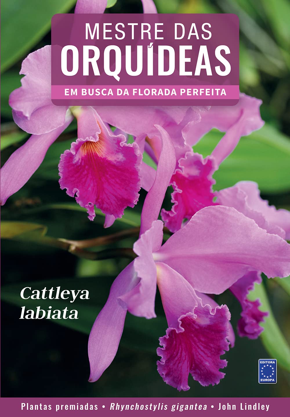 Mestre das Orquídeas - Volume 1: Cattleya labiata | Amazon.com.br