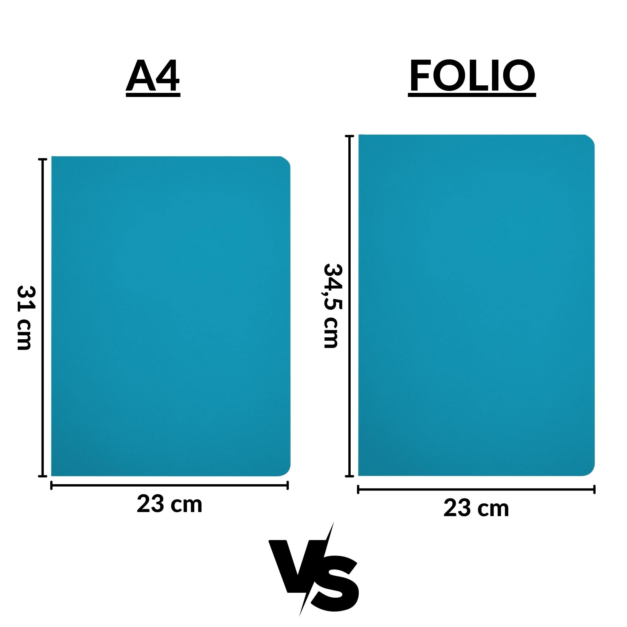 Sottocartelle Colorate In Cartoncino Kraft - Organizzazione Documenti Per Ufficio E Casa