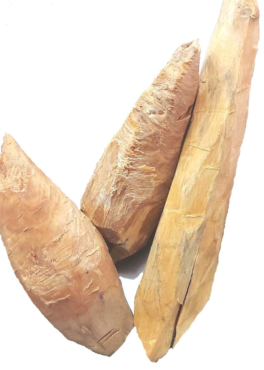 Devadaru Gulli/Suradaru/Deodaar ki Lakadi/Diar/Devdaar/Himalayan Cedar wood/Deodar Cedar - 200g-image-39