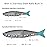 Bassdash SwimShad Glide Baits Jointed Swimbait Bass Pike Salmon Trout Muskie Fishing Lure