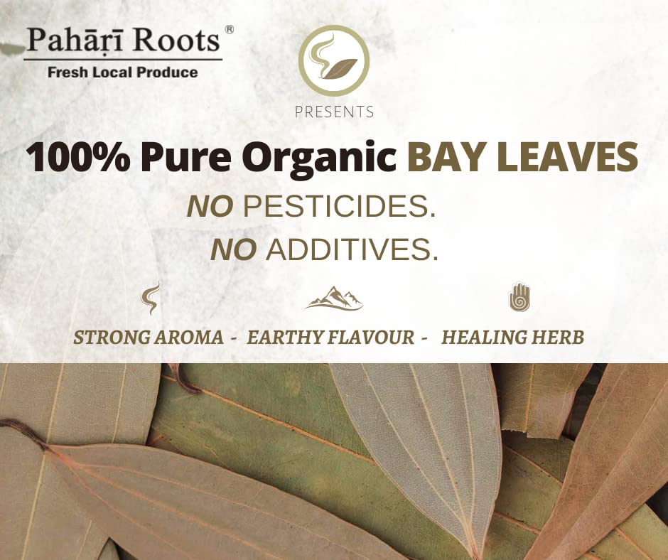 Pahari Roots Bay Leaf from Meghalaya (Tej/Tez patta) (40gx2) 80gm | Pure and Sorted Whole Leaves| INDIAN WHOLE SPICES - KHADA MASALA - TADKA SPICES - Image 3 thumbnail