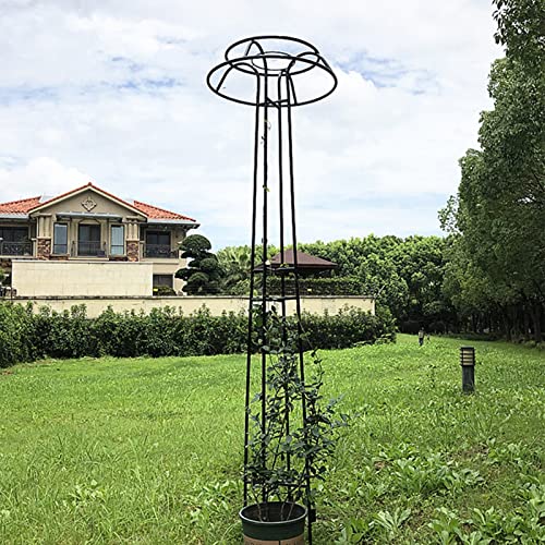 Obélisque de jardin en métal pour sublimer un massif de fleurs extérieur