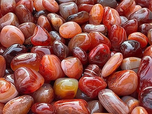 Image of GAF TREASURES 1 /2 LB Carnelian Tumbled Stones, Polished Carnelian Gemstone, Carnelian Healing Crystals (Carnelian)