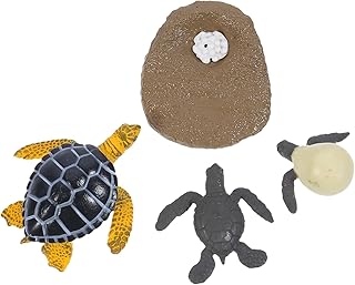 Totority 1 Conjunto De Ciclo De Crescimento Animal Brinquedos Cognitivos De Animais Modelo De Animais De Simulação Conjuntos De Brinquedos De Tartaruga Figuras De Ciclo De Vida