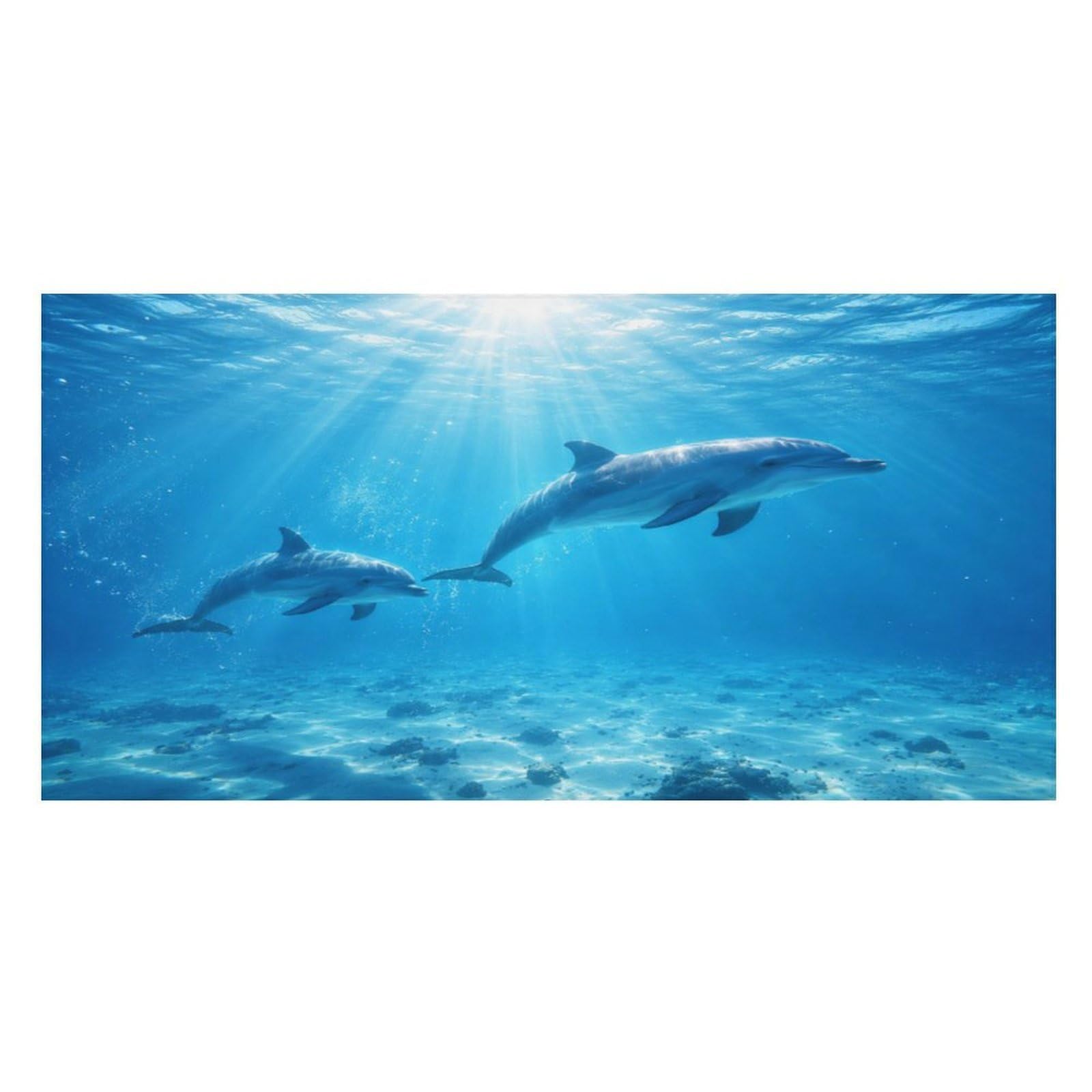 Anceky Dolphins Swimming Underwater Ocean Scene Oversized Beach Towel Quick Dry Sand Free Microfiber Travel Towel Lightweight Multi Purpose Beach Blanket Pool Gym Bath Towel 63x31 in