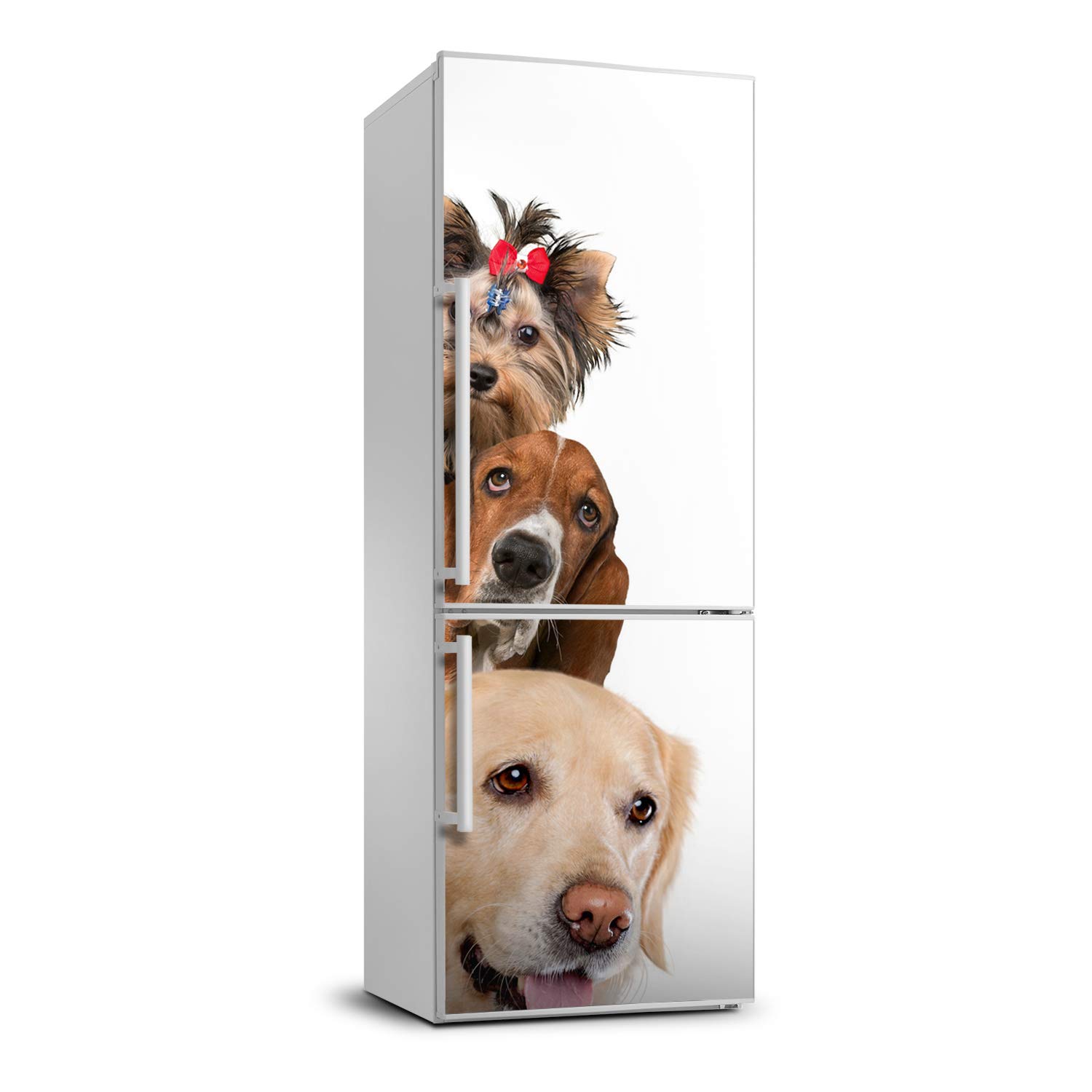 Autocollant frigo chiens et chats 70x190cm - Sticker mural décoratif auto-adhésif